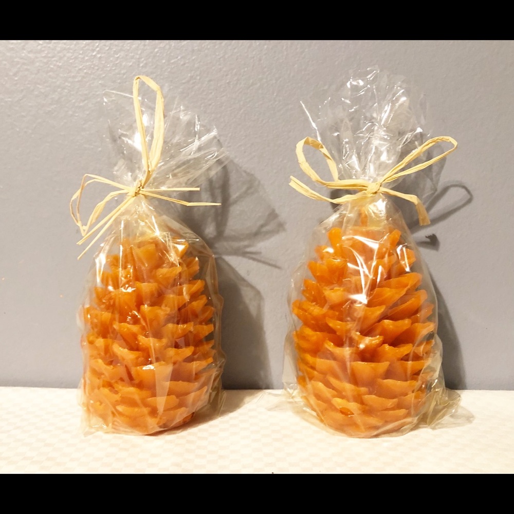 2 Orange Unscented Pine Cone Candles